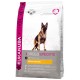 Eukanuba Deutscher Schäferhund Hundefutter