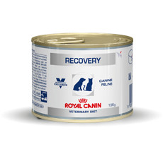 Royal Canin Veterinary Diet Recovery (in Dosen) 195g