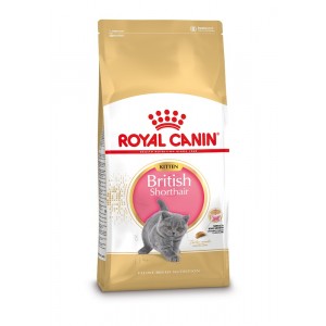Royal Canin Britisch Kurzhaar KITTEN Katzenfutter