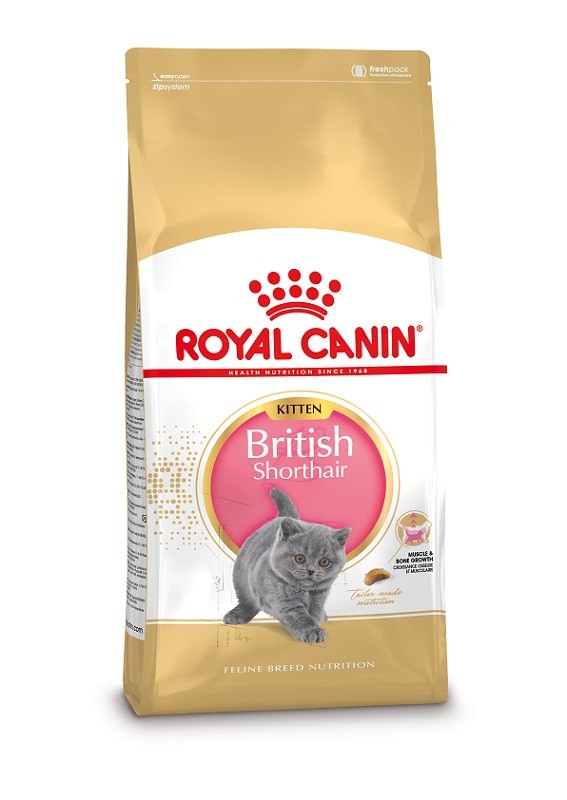 Royal Canin Britisch Kurzhaar KITTEN Katzenfutter