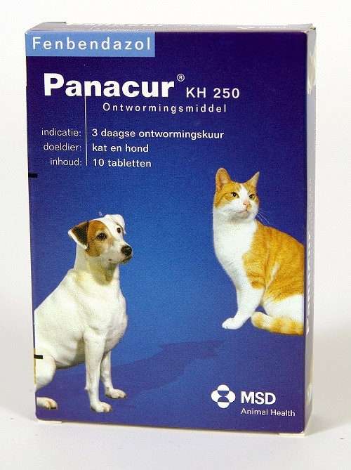 Panacur 250 Entwurmungsmittel für Hund und Katze Brekz.at