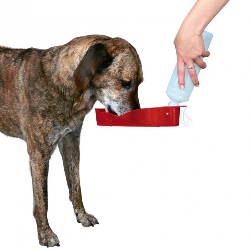 Trinkflasche unterwegs für den Hund Bis zu 40 günstiger