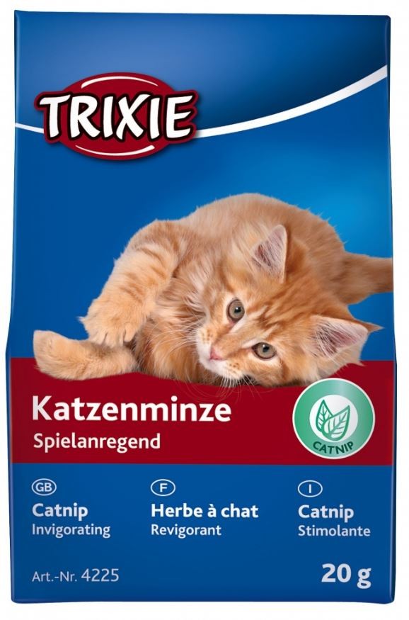 Katzenminze 20 Gramm