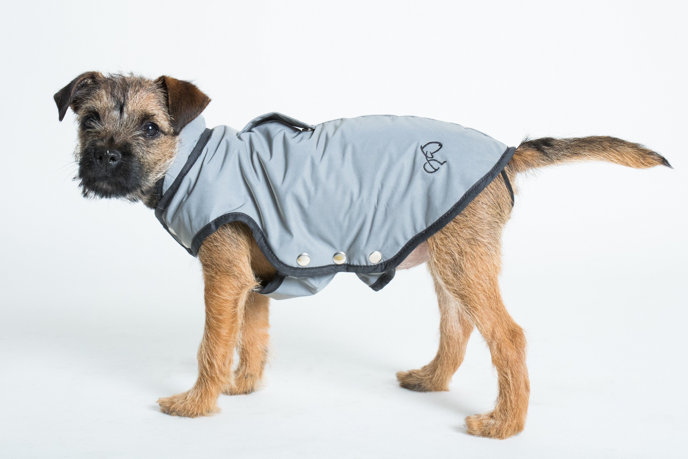 owalo design Hunde Jacken