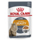 Royal Canin Intense Beauty Katzen-Nassfutter x12