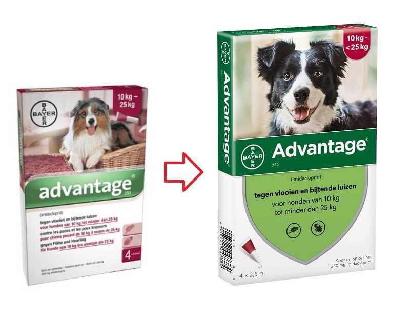 Advantage Nr. 250 Flohmittel (10 bis 25 kg) Hund Brekz.at