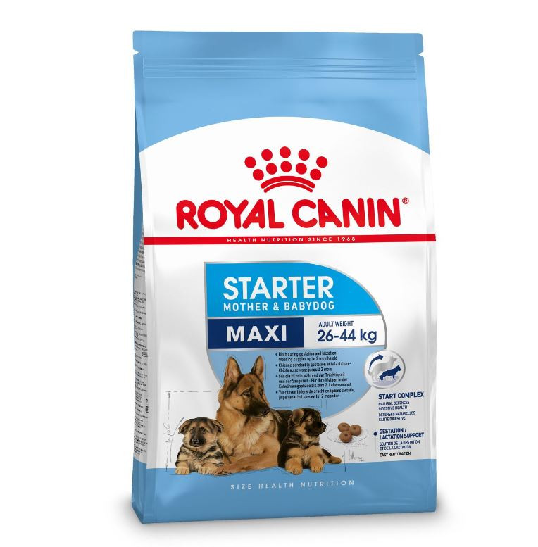 Royal Canin Maxi Starter Hundefutter