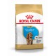 Royal Canin Puppy Cocker Spaniel Hundefutter