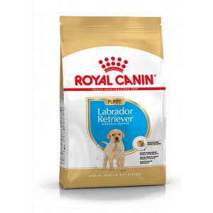 Royal Canin Puppy Labrador Retriever Hundefutter