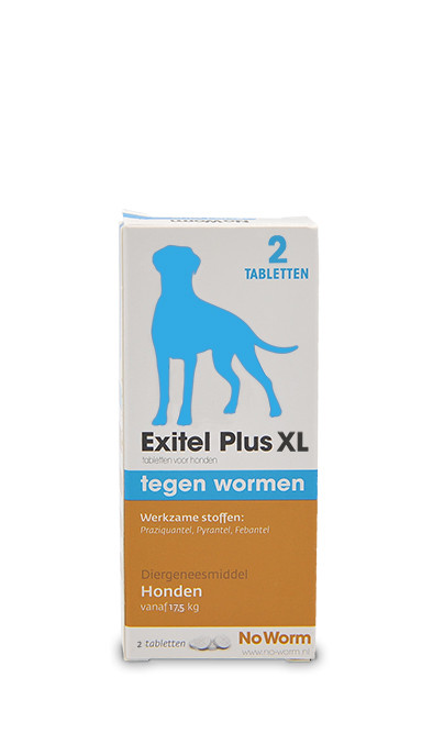 Exil No Worm Hond L 