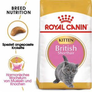 Royal Canin Britisch Kurzhaar KITTEN Katzenfutter