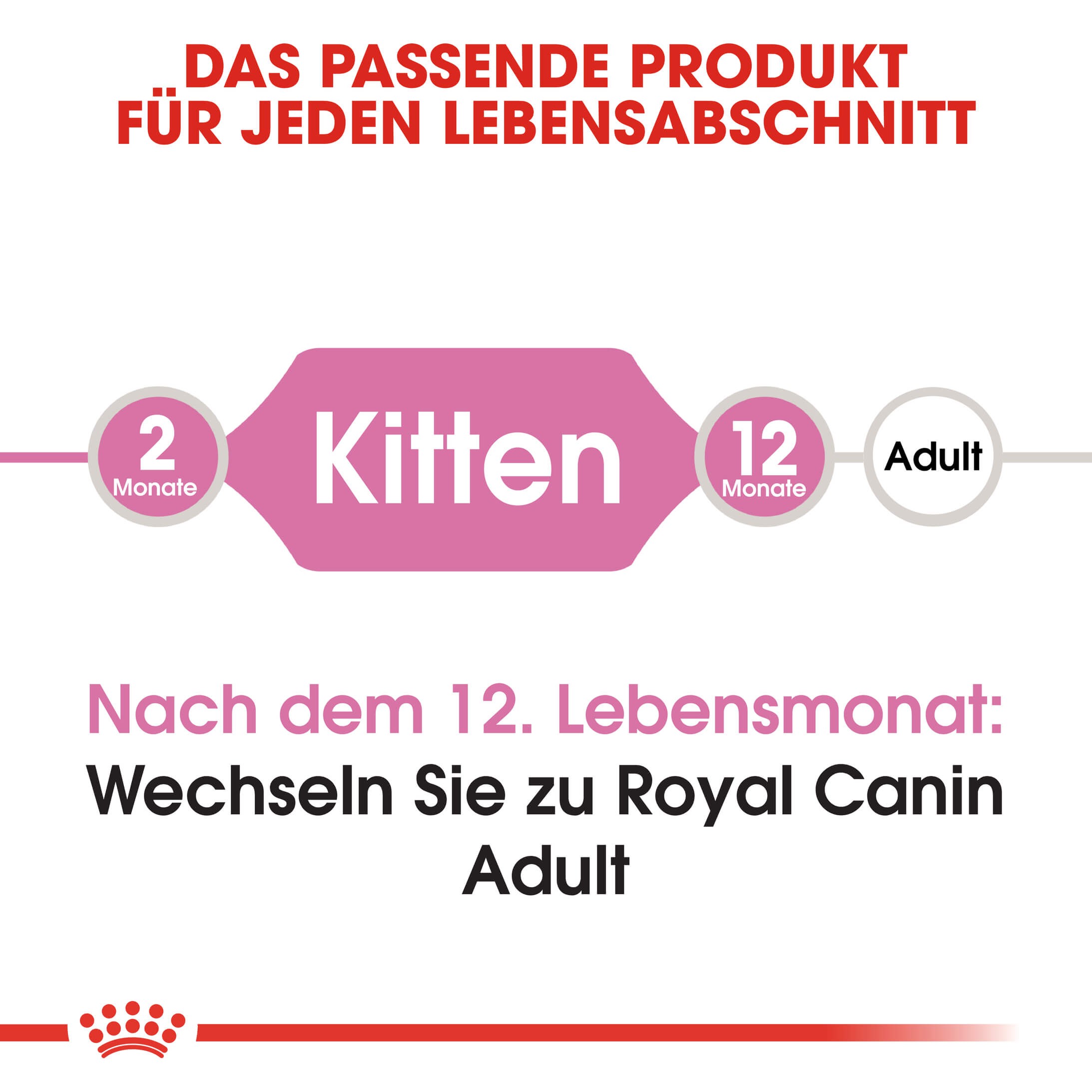 Royal Canin Kitten Katzenfutter