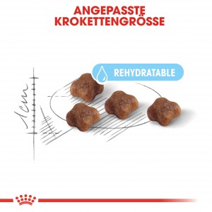 Royal Canin Mother & Babycat Katzenfutter 