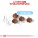 Royal Canin Mother & Babycat Katzenfutter 
