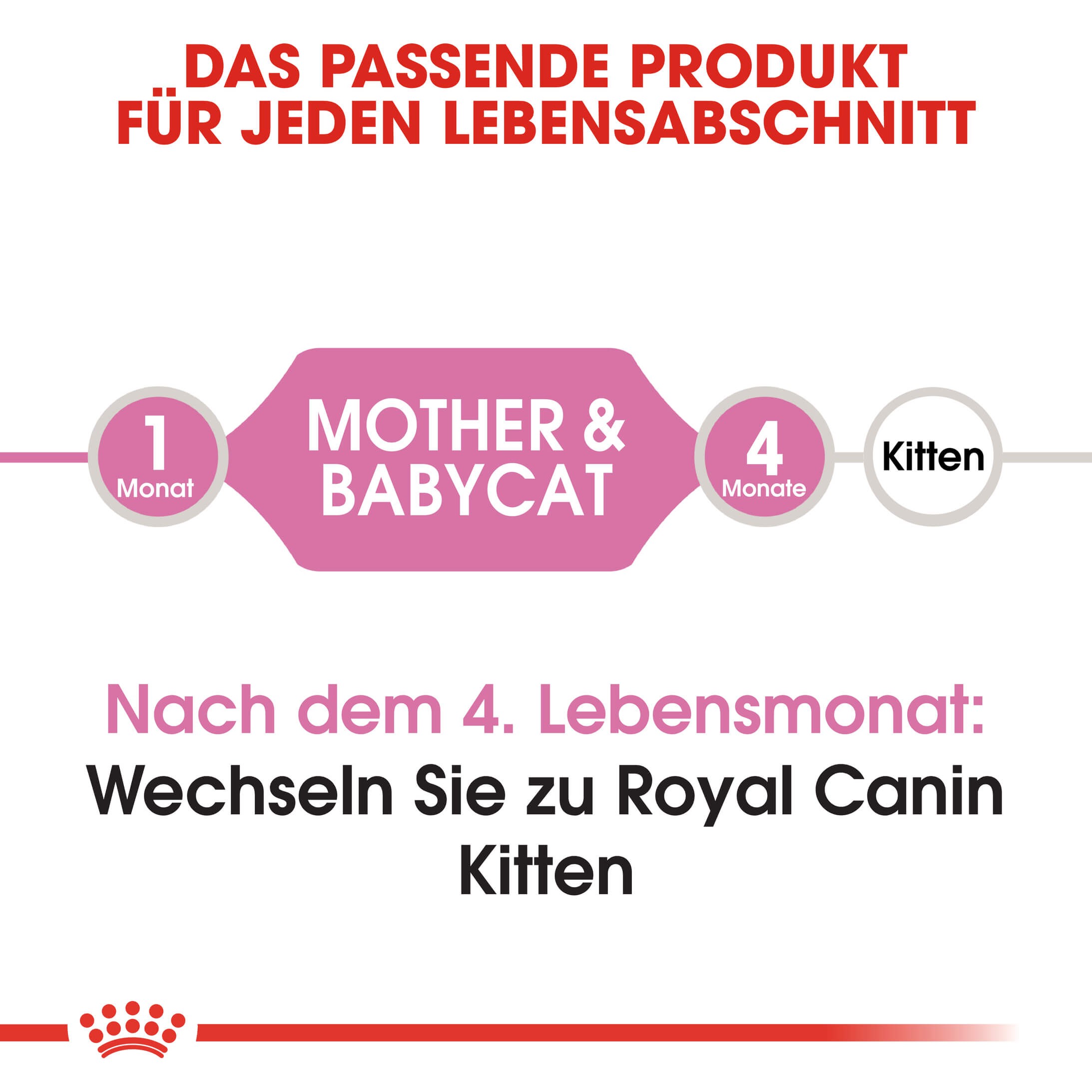 Royal Canin Mother & Babycat Katzenfutter 