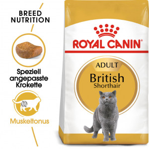Royal Canin Adult Britisch Kurzhaar Katzenfutter 