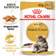 Royal Canin Maine Coon Adult Nassfutter