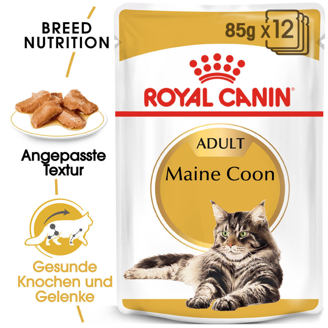 Royal Canin Maine Coon Adult Pouch