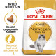Royal Canin Norwegian Forest Cat Katzenfutter