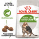 Royal Canin Outdoor 7+ Katzenfutter