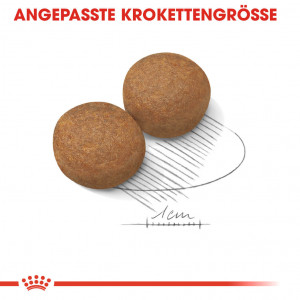 Royal Canin Maxi adult Hondenvoer