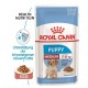 Royal Canin Medium Puppy Nassfutter