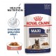 Royal Canin Maxi Ageing 8+ Nassfutter