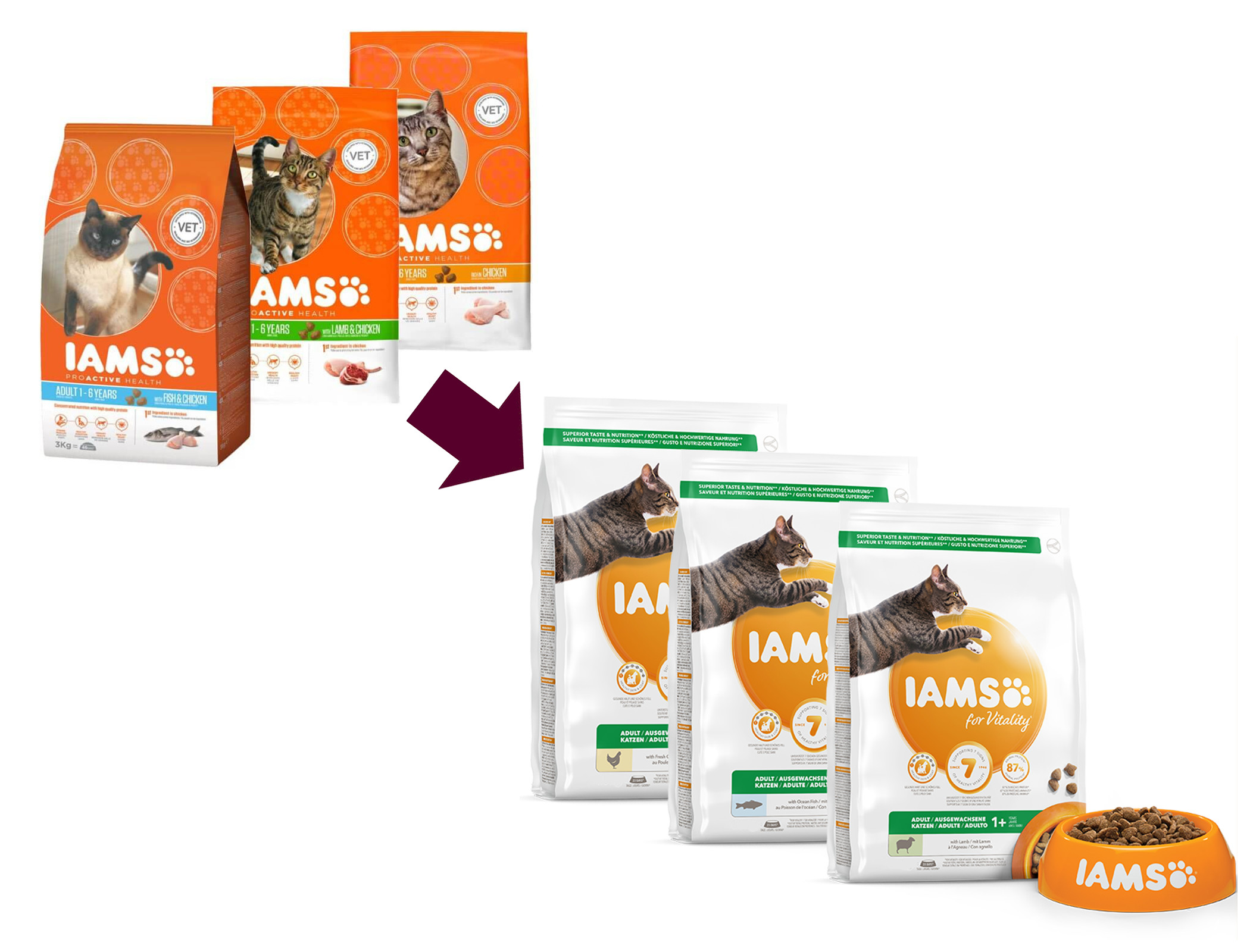 Iams Kombi-Packung Fisch/Lamm/Huhn