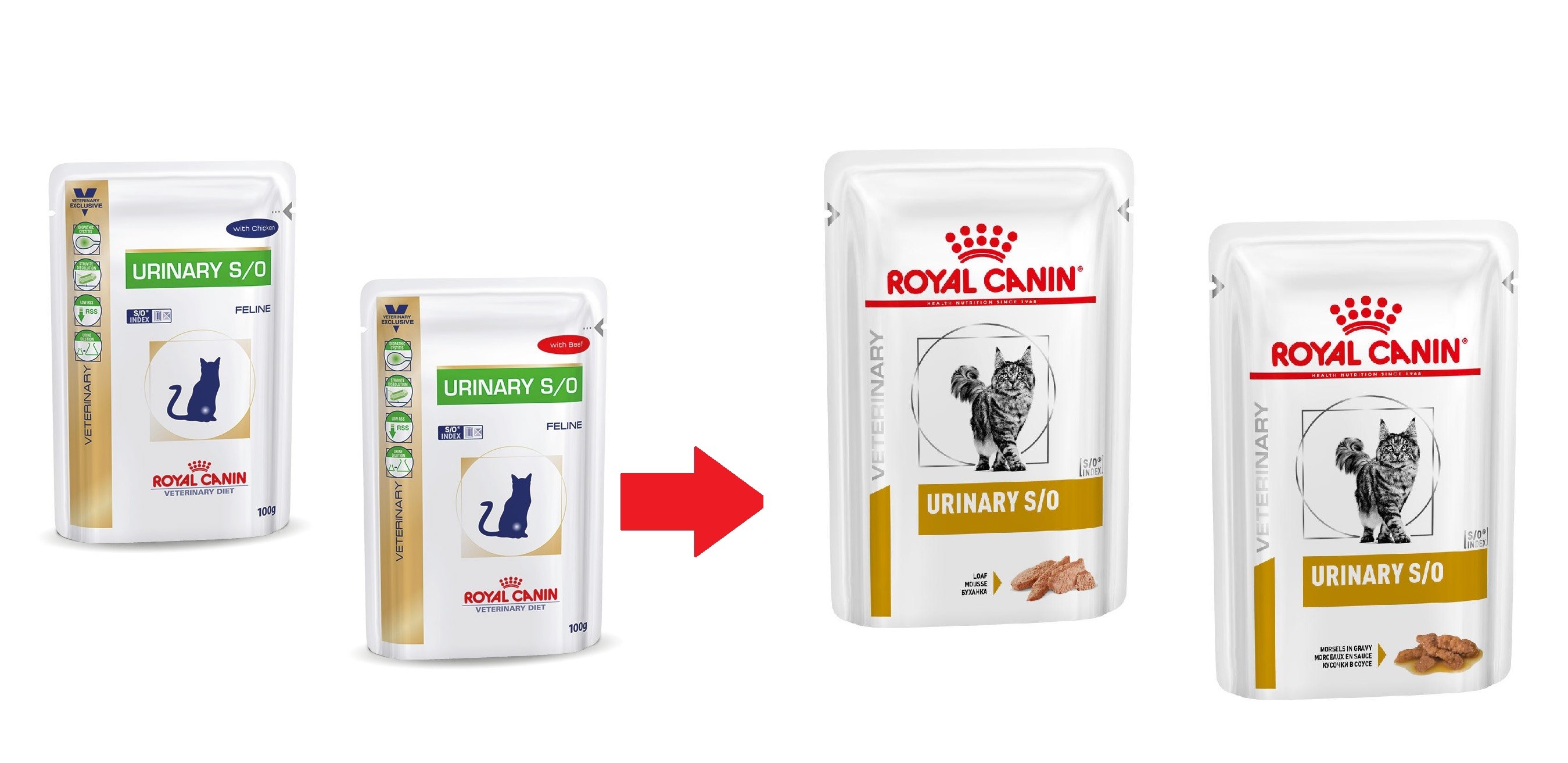 Royal Canin Urinary S O Katze Nassfutter