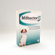 Milbactor Entwurmungsmittel für Hunde  5+  kg