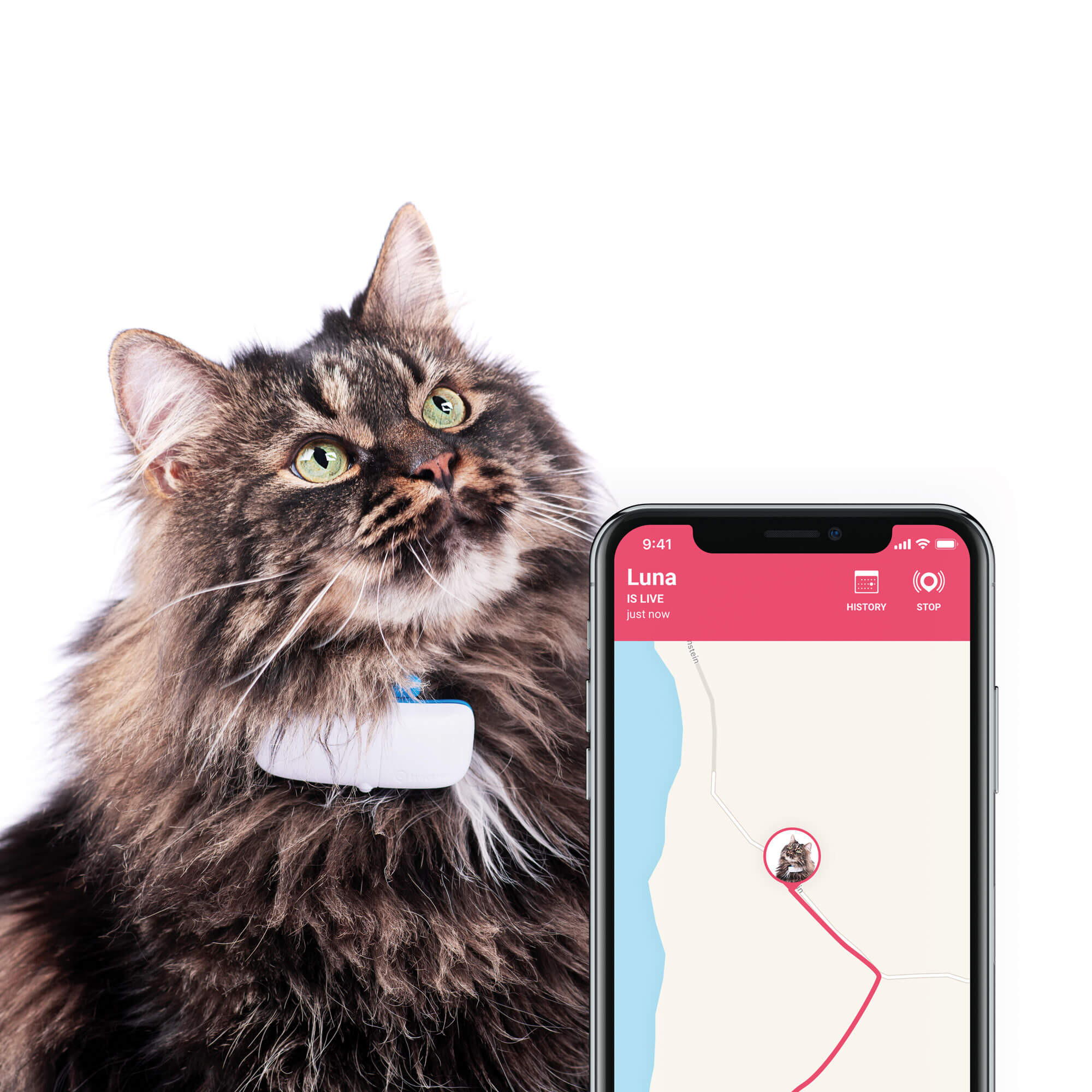 TRACTIVE GPS Tracker Cat mit Aktivitätstracking