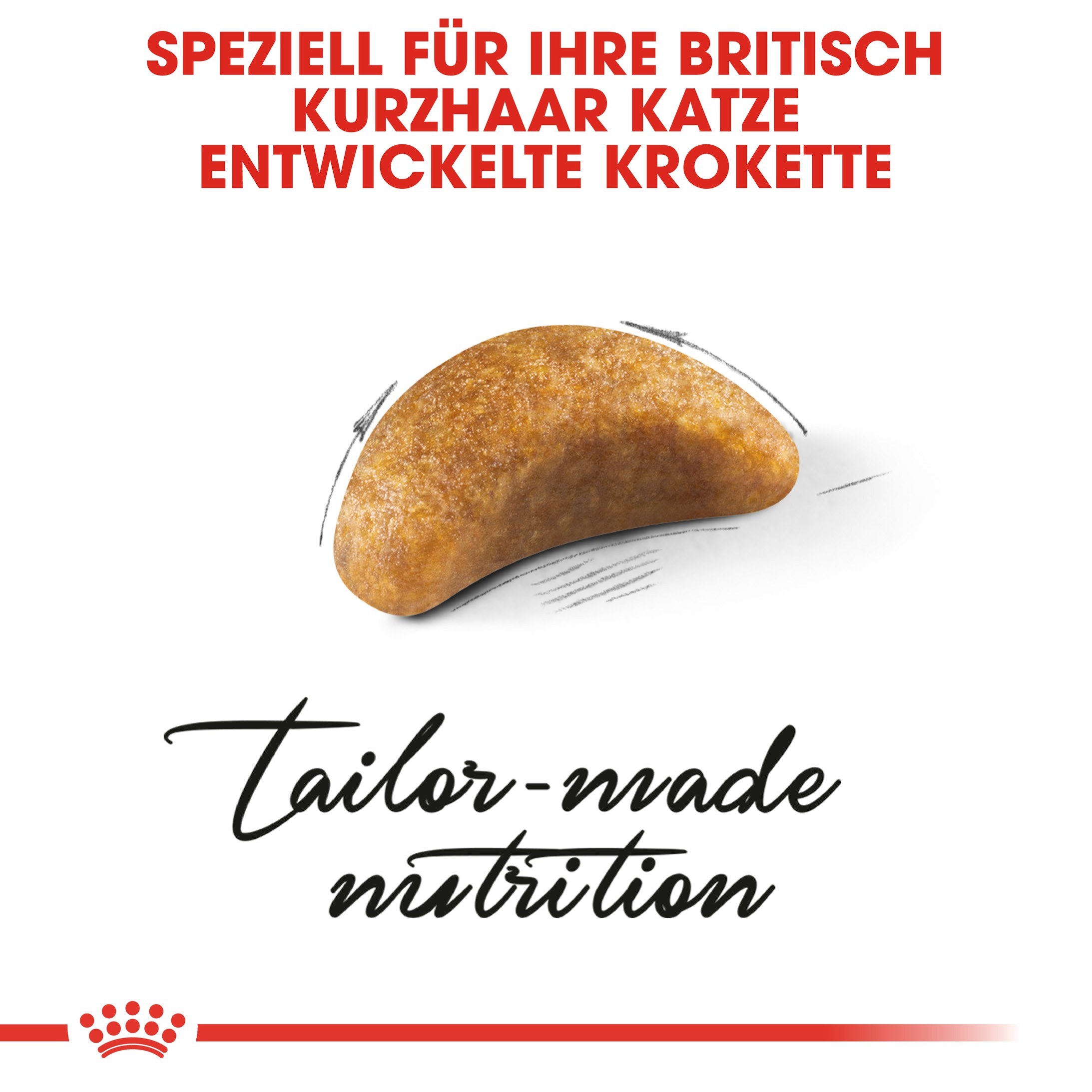 Royal Canin Britisch Kurzhaar KITTEN Katzenfutter