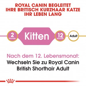 Royal Canin Britisch Kurzhaar KITTEN Katzenfutter