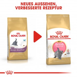 Royal Canin Britisch Kurzhaar KITTEN Katzenfutter