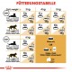 Royal Canin Adult Siamkatze Katzenfutter 