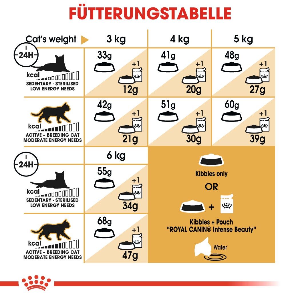 Royal Canin Adult Siamkatze Katzenfutter 