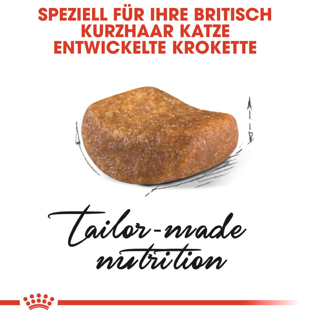 Royal Canin Adult Britisch Kurzhaar Katzenfutter 