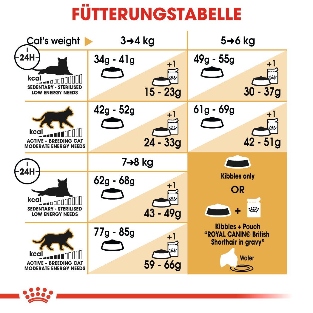 Royal Canin Adult Britisch Kurzhaar Katzenfutter 