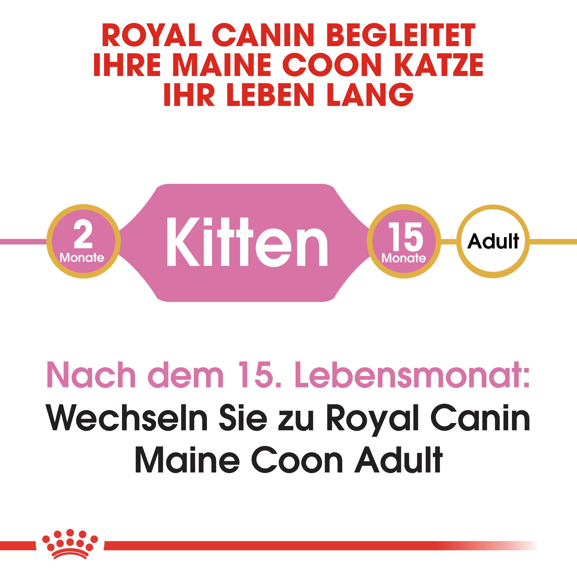 Royal Canin Kitten Maine Coon Katzenfutter 