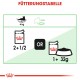 Royal Canin Digest Sensitive Katzen-Nassfutter x12