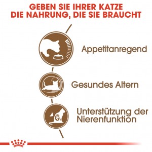 Royal Canin Ageing 12+ Katzenfutter