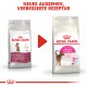 Royal Canin Aroma Exigent Katzenfutter