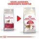 Royal Canin Fit 32 Katzenfutter