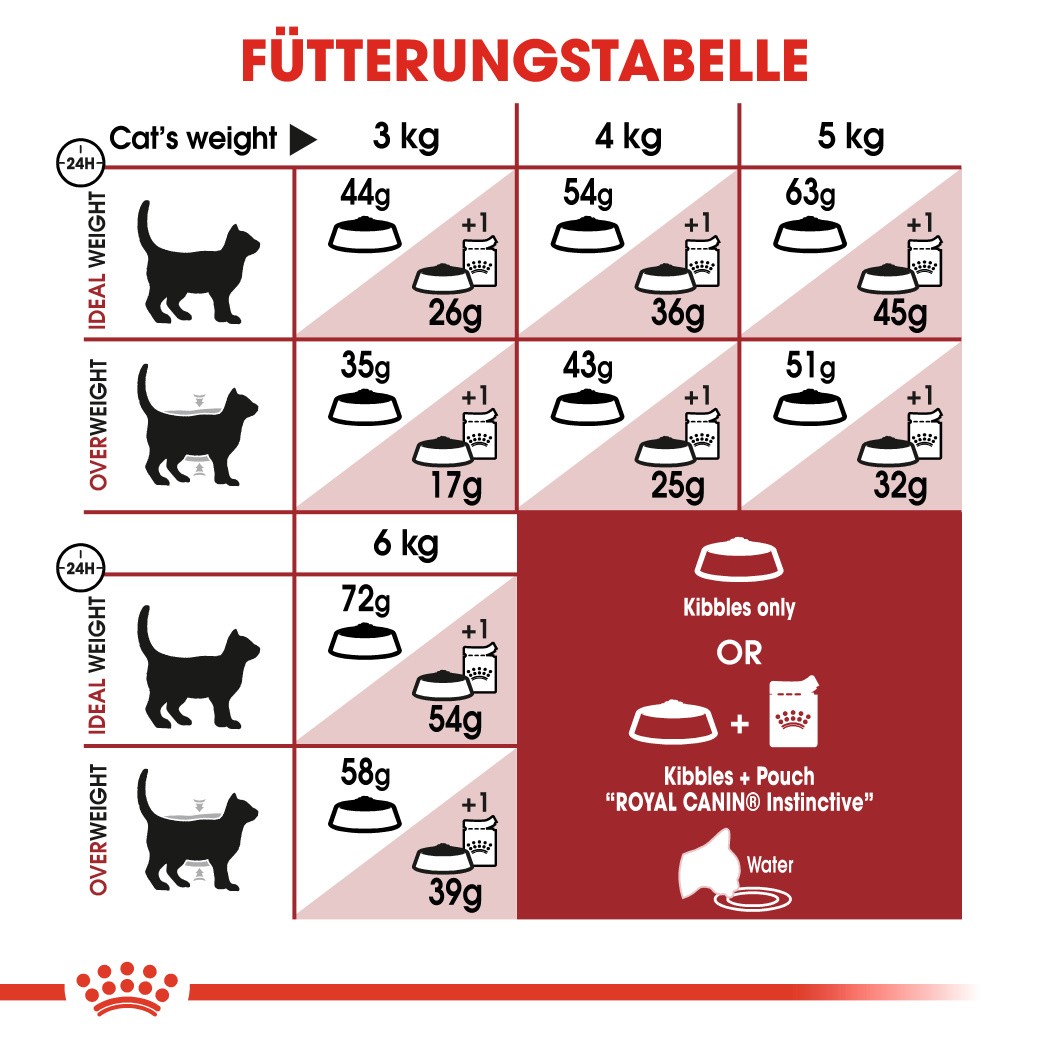 Royal Canin Fit 32 Katzenfutter