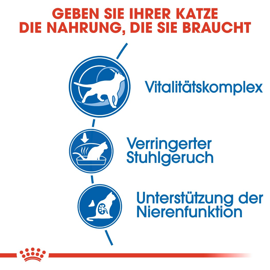 Royal Canin Indoor 7+ Katzenfutter