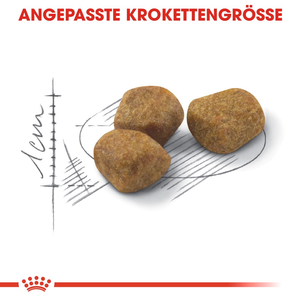 Royal Canin Indoor 7+ Katzenfutter