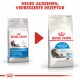 Royal Canin Indoor Long Hair Katzenfutter