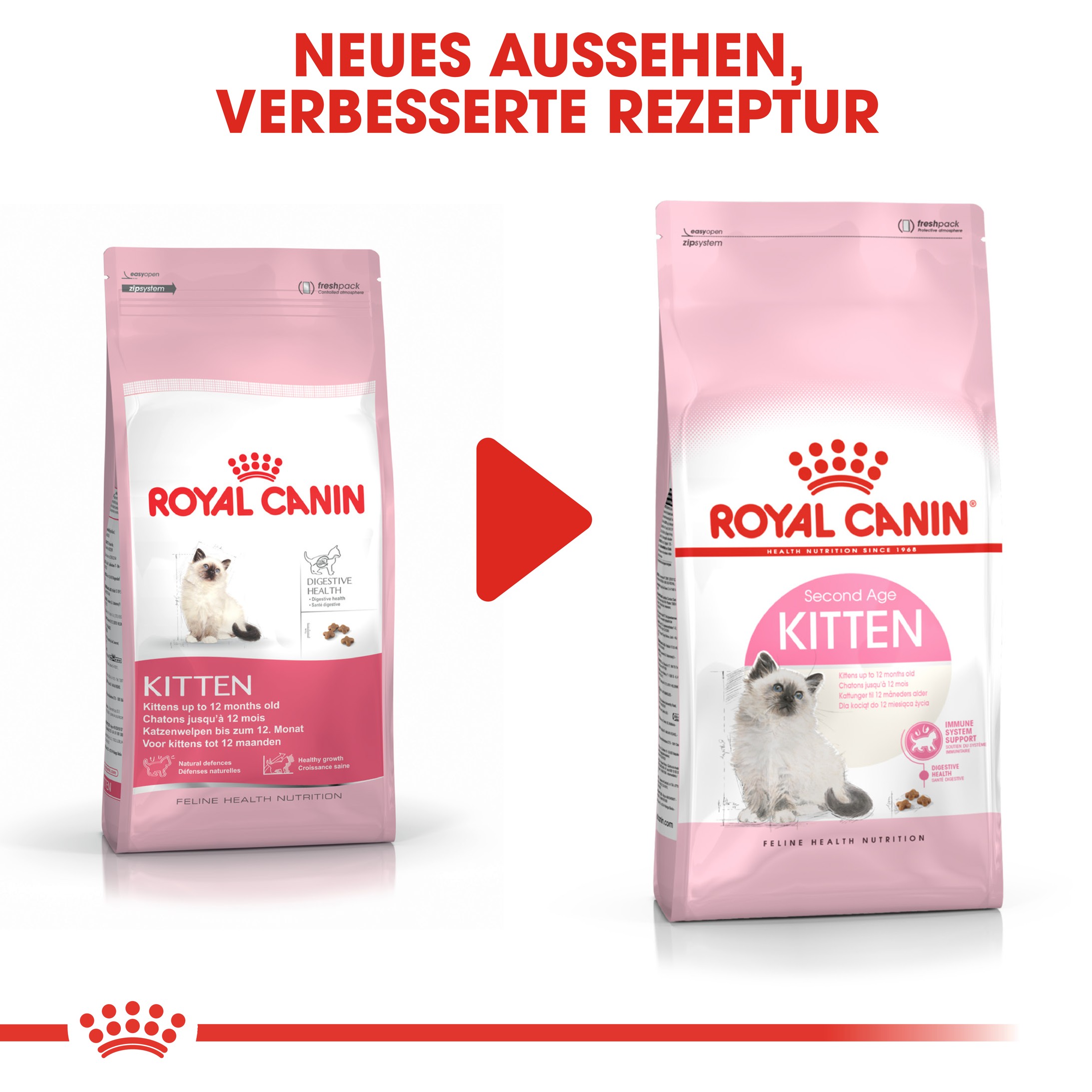 Royal Canin Kitten Katzenfutter