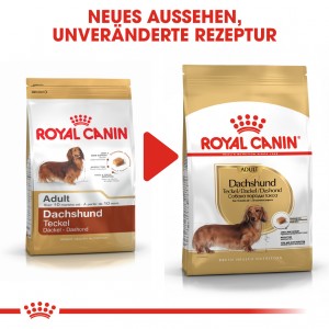 Royal Canin Adult Dachshund Hundefutter