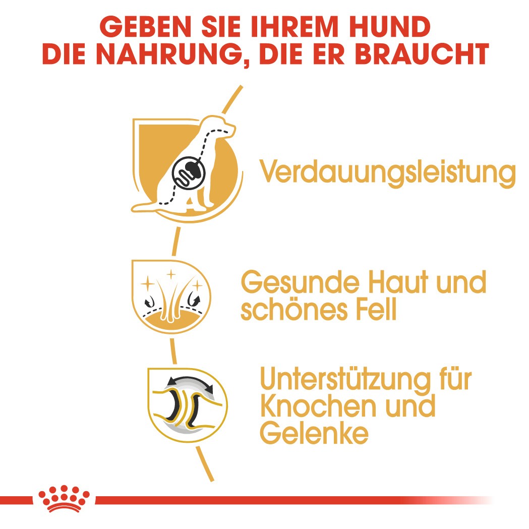 Royal Canin Adult Deutscher Schäferhund Hundefutter